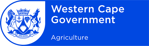 Western Cape Government Jobs Careers Apprenticeships