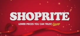 Shoprite Bursaries for 2015 in South Africa
