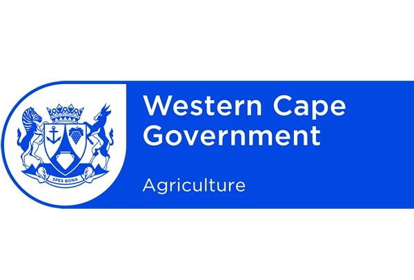 western cape government careers internships youth training jobs