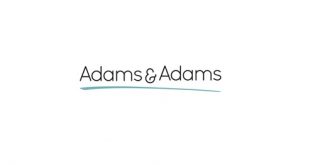 adams and adams careers jobs vacancies graduate internships